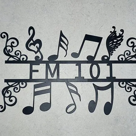 Fm101 *